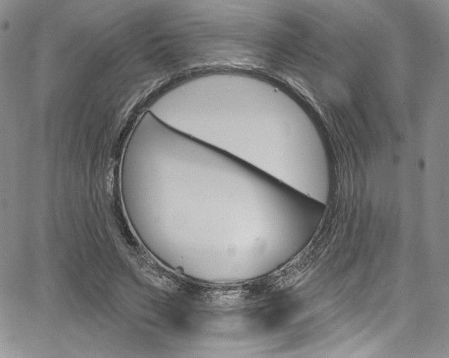 X0000067900495200604131042