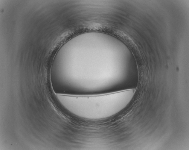 X0000067900496200604131042