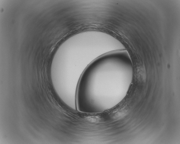 X0000067900508200604131042