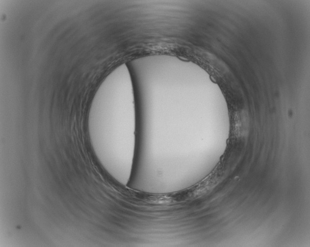 X0000067900514200604131042