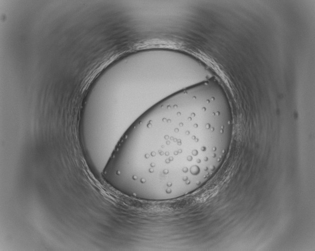 X0000067900529200604131041