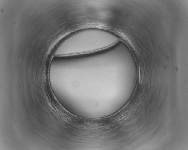 X0000067900531200604131041