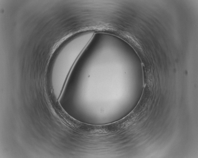 X0000067900536200604131041