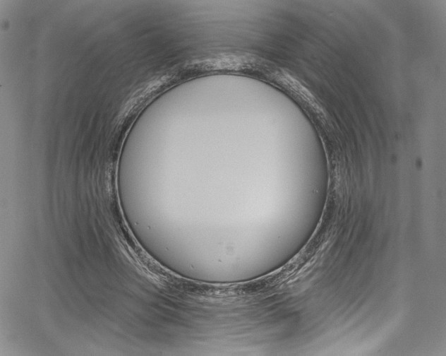 X0000067900537200604131041