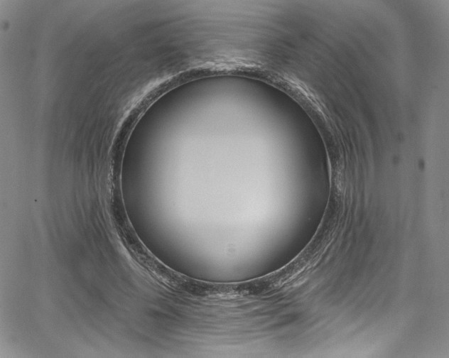 X0000067900540200604131041