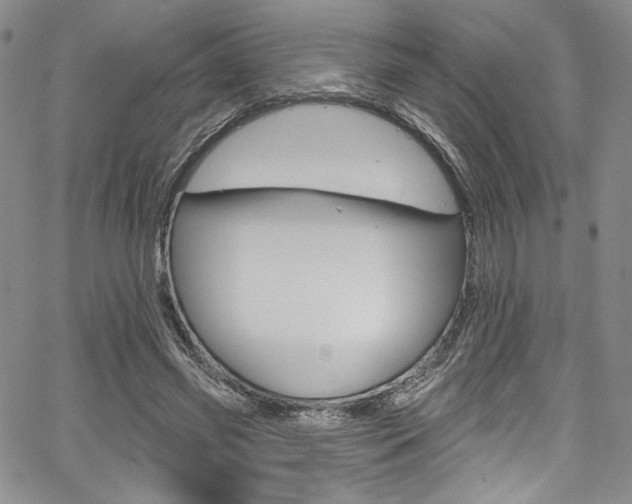 X0000067900541200604131041