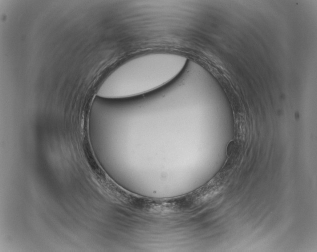 X0000067900550200604131041