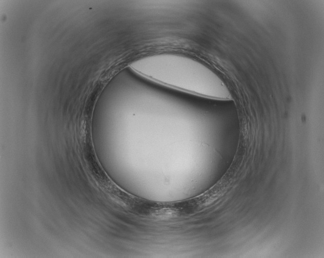X0000067900551200604131041