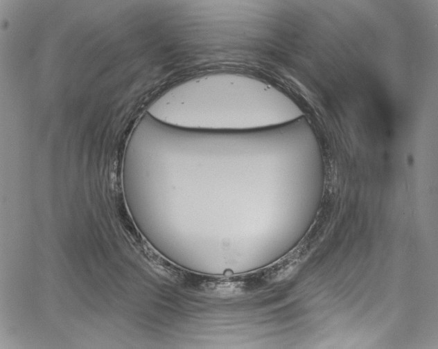 X0000067900553200604131041