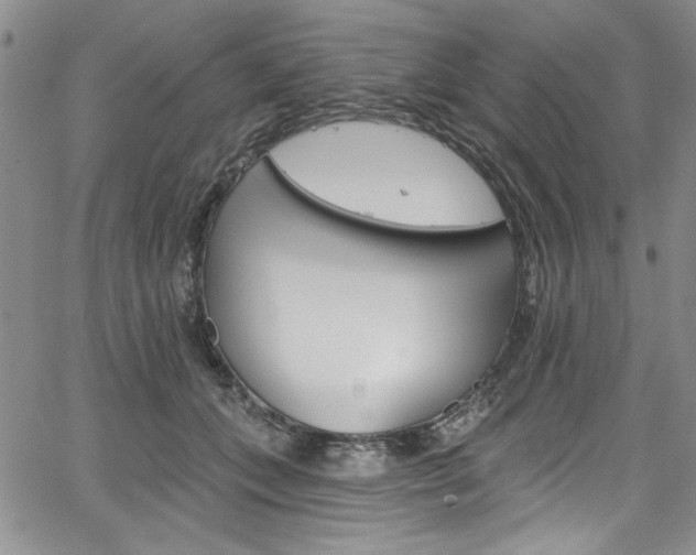 X0000067900559200604131041