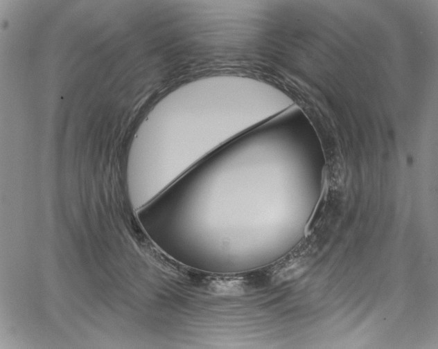 X0000067900560200604131041