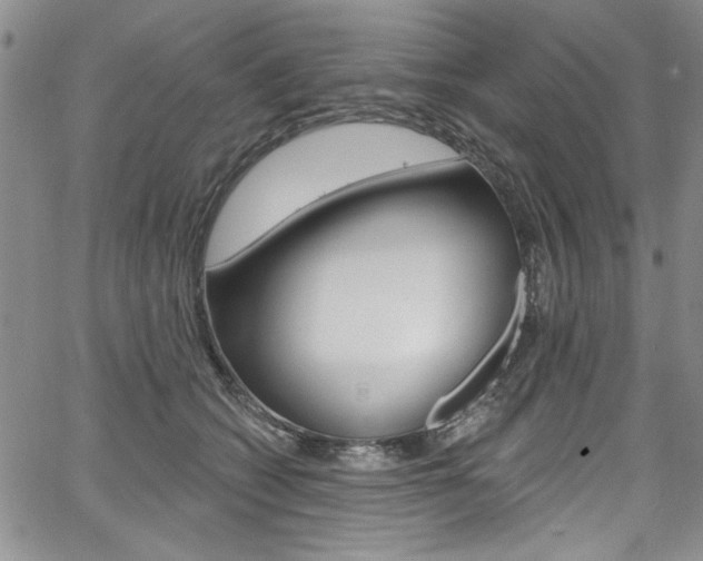 X0000067900562200604131041