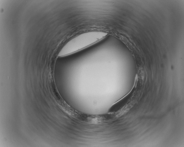 X0000067900564200604131041