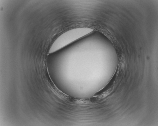 X0000067900568200604131041