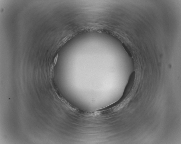 X0000067900576200604131041