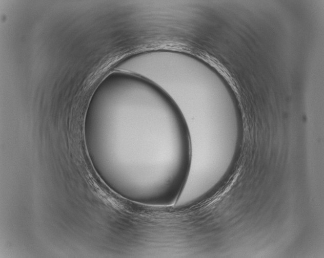 X0000067900577200604131041