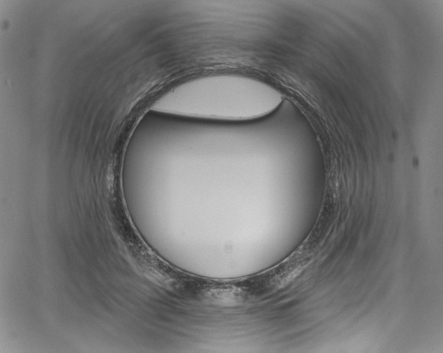 X0000067900595200604131040