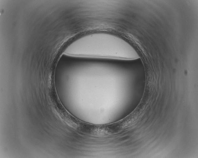 X0000067900596200604131040