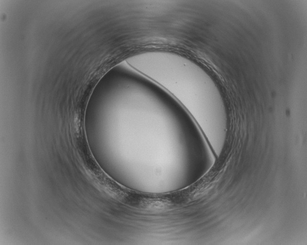 X0000067900597200604131040