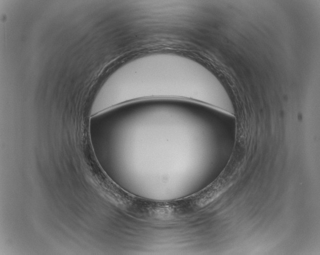 X0000067900600200604131040