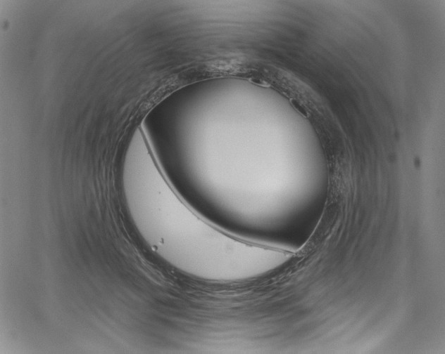 X0000067900601200604131040