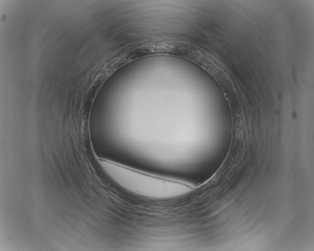 X0000067900604200604131040