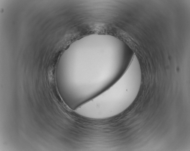 X0000067900611200604131040