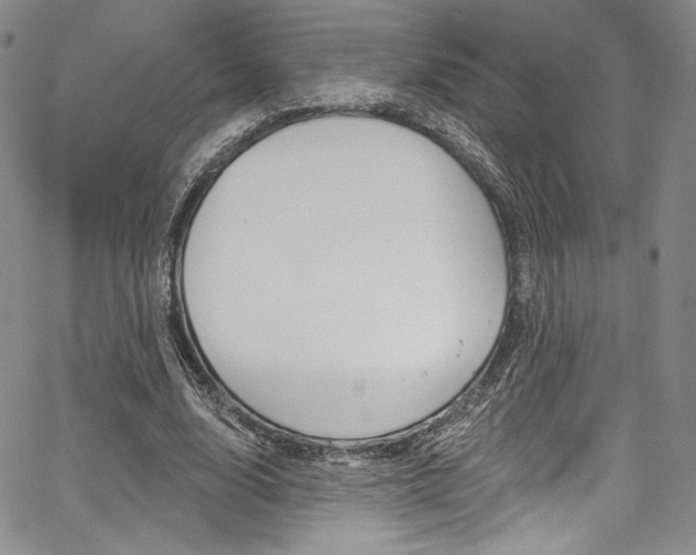 X0000067900632200604131039