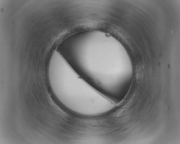 X0000067900637200604131039