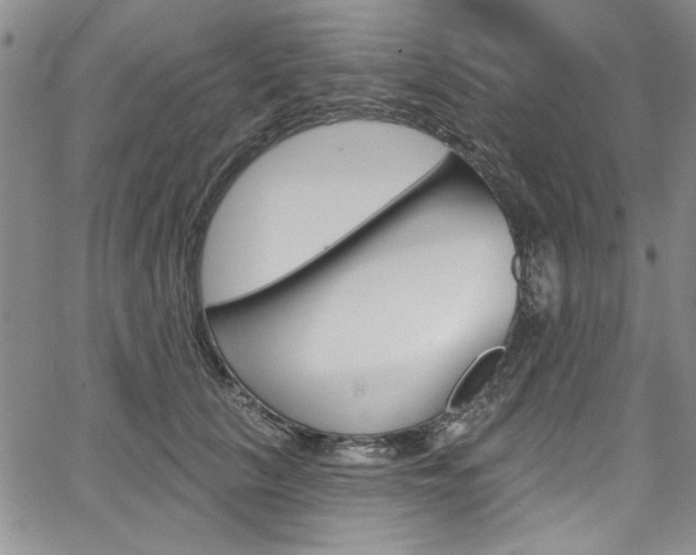 X0000067900657200604131039