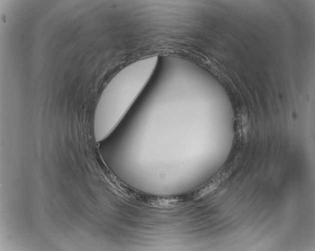 X0000067900664200604131040