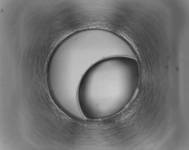 X0000067900673200604131039