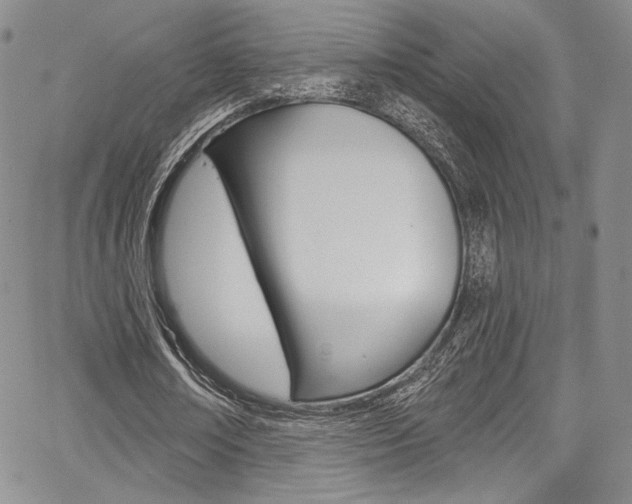 X0000067900674200604131039