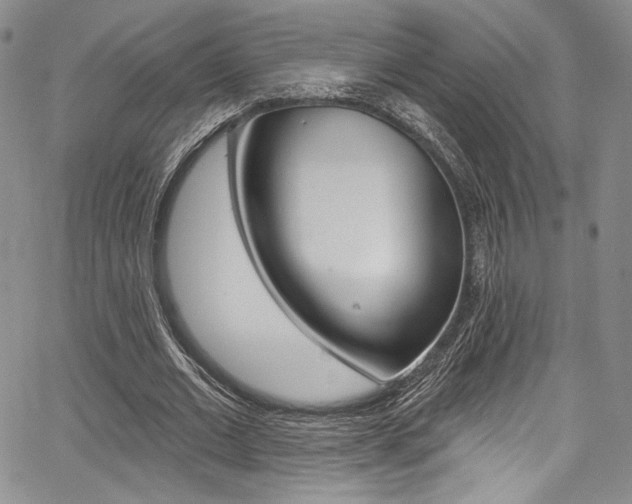 X0000067900677200604131039
