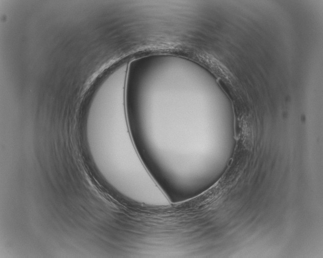 X0000067900684200604131039