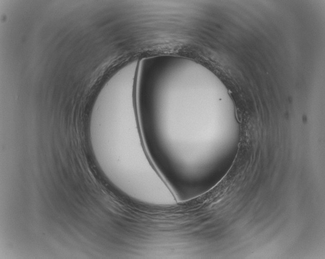 X0000067900693200604131039