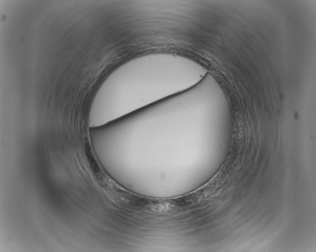 X0000067900695200604131039