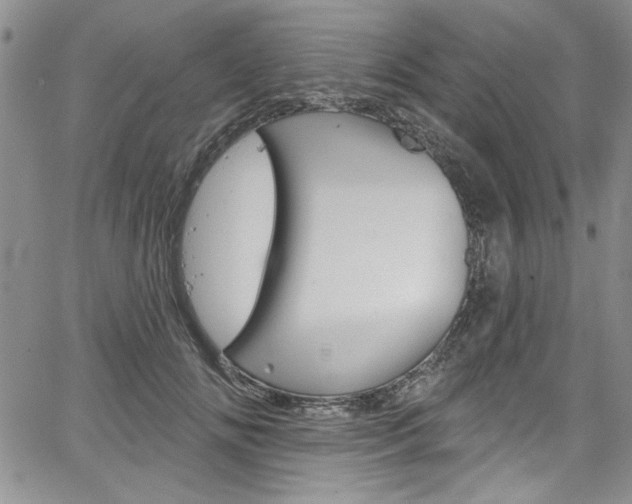 X0000067900702200604131038