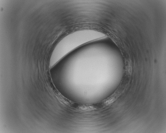 X0000067900712200604131038
