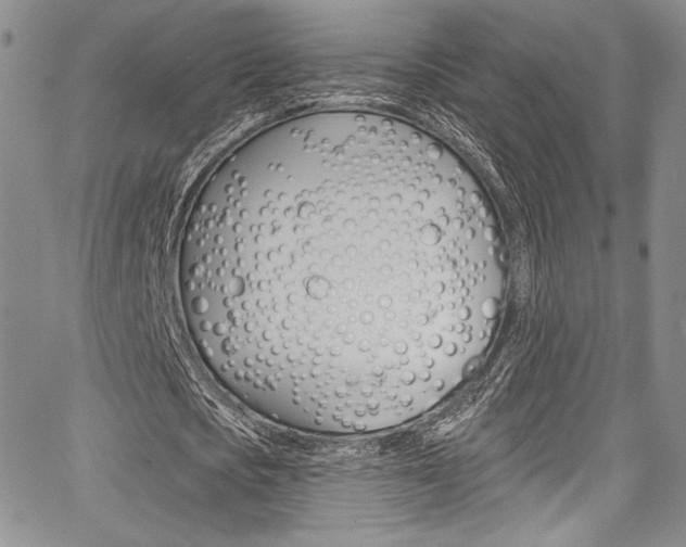 X0000067900721200604131037