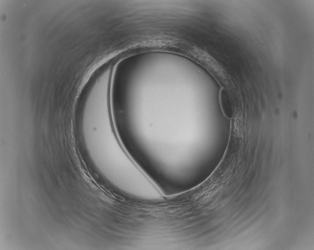 X0000067900724200604131037