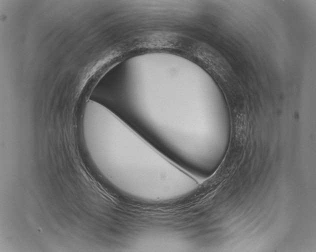 X0000067900727200604131037