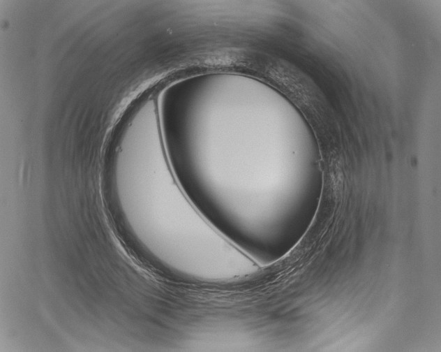 X0000067900728200604131038