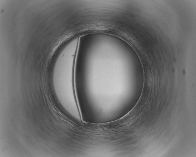 X0000067900731200604131038