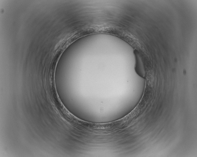 X0000067900740200604131038