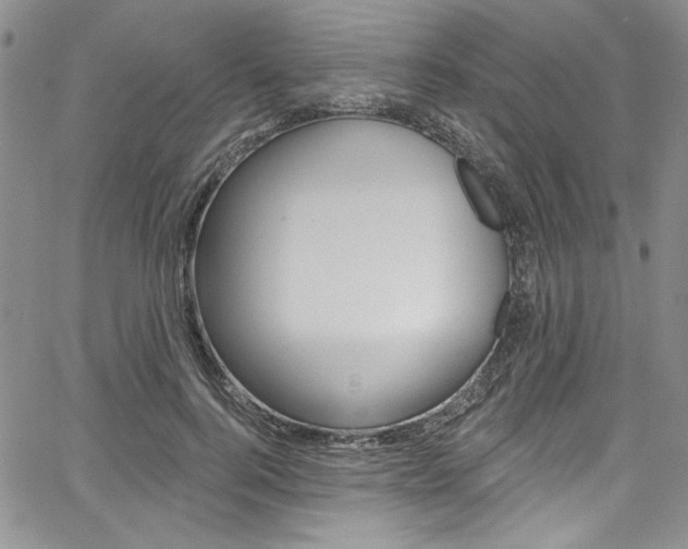 X0000067900744200604131038