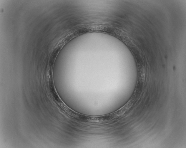 X0000067900746200604131038