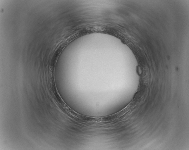 X0000067900747200604131038