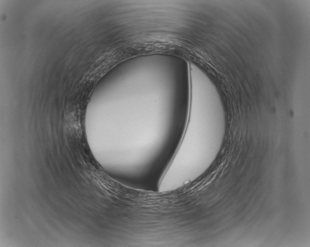 X0000067900771200604131037