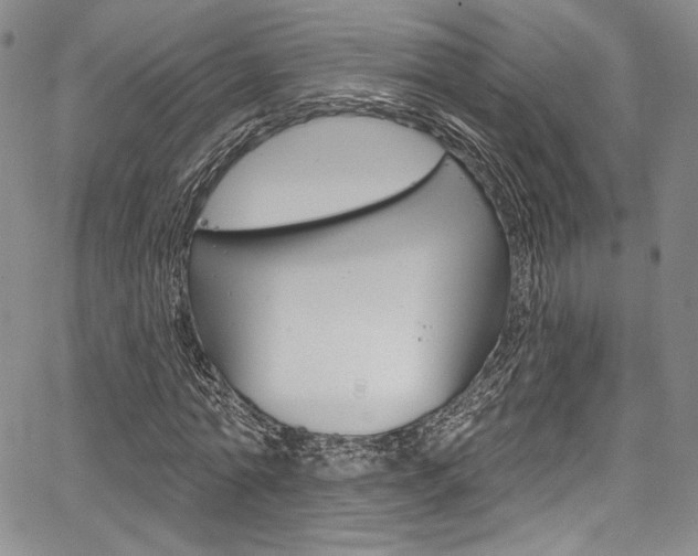 X0000067900774200604131037